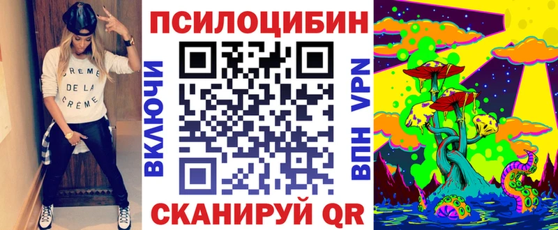 mega вход Малоярославец Галлюциногенные грибы Psilocybine cubensis